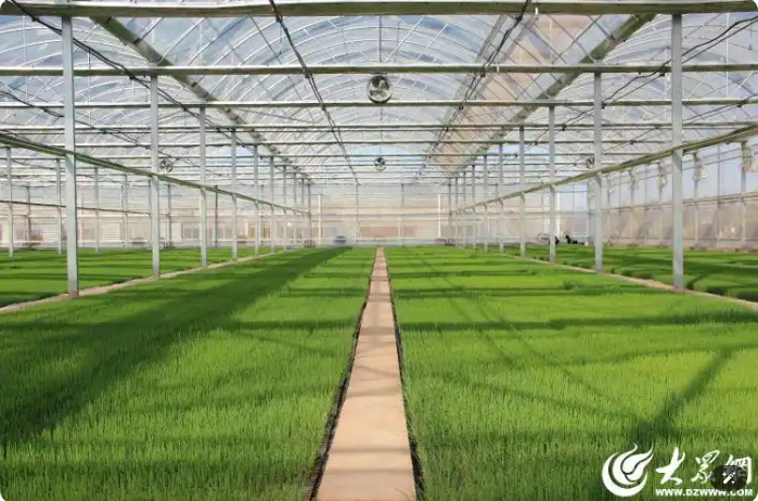 296df311a2c9b4c773383e8bdb4386ea.png 296df311a2c9b4c773383e8bdb4386ea.png